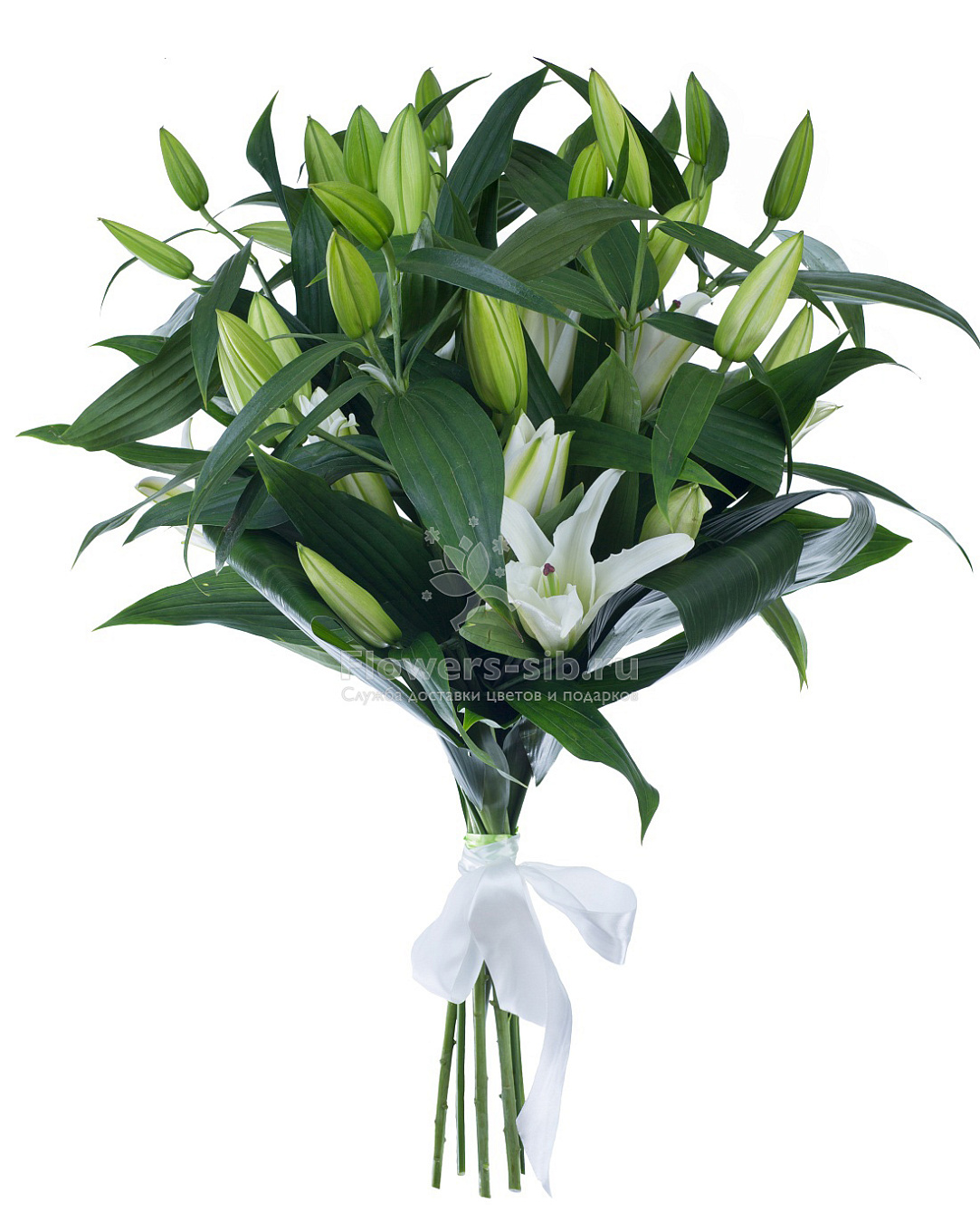 Bouquet of 7 lilies